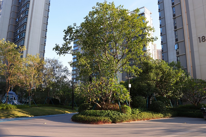 东莞万科滨海之星