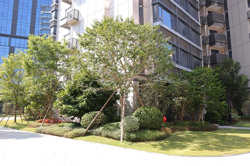 宏远时代国际花园