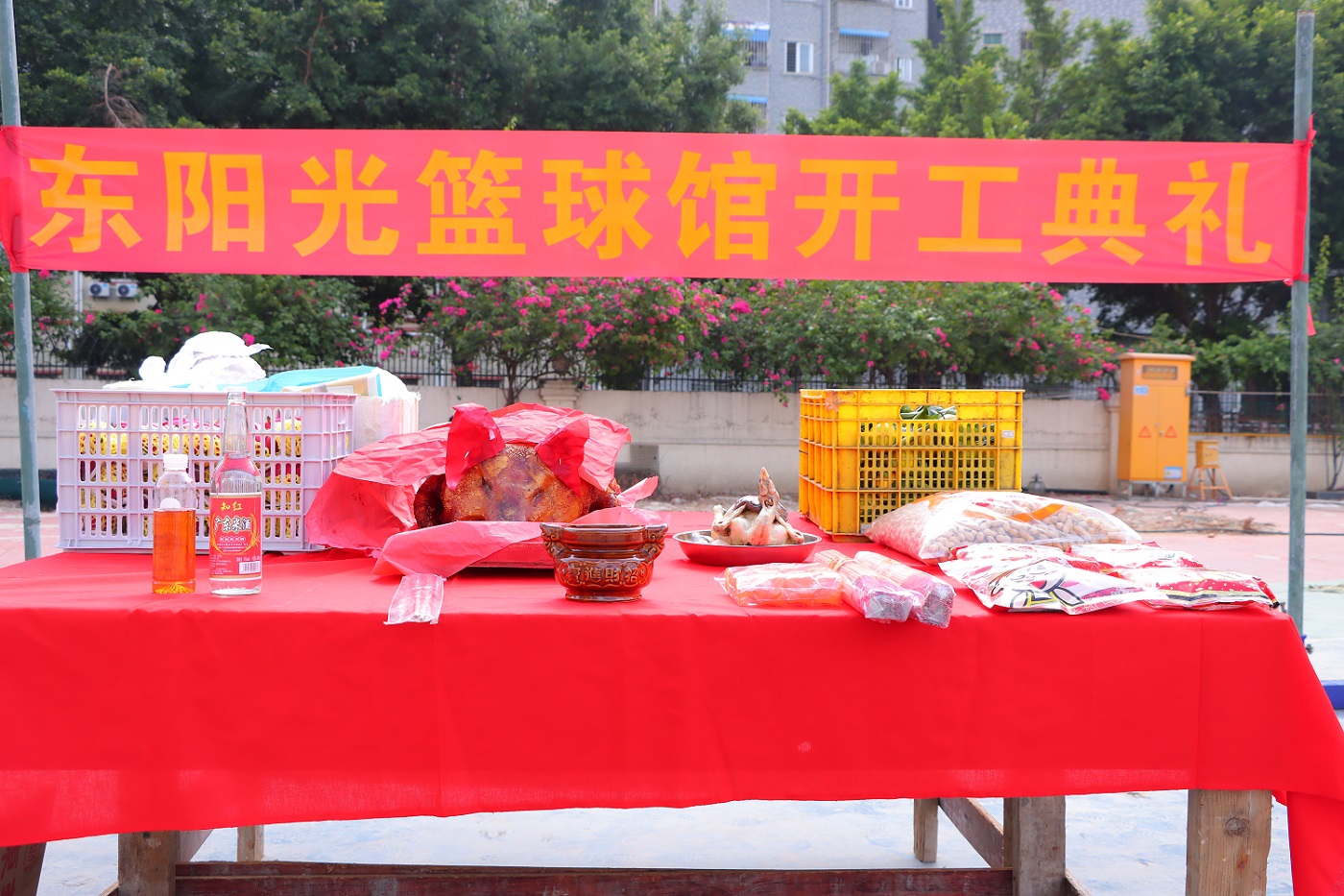 东莞东阳光篮球馆