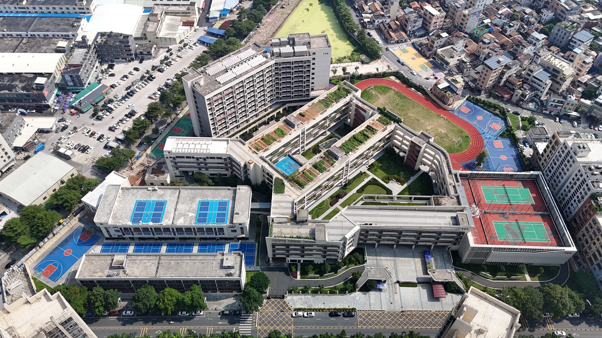 东莞寮步蟠龙岗小学