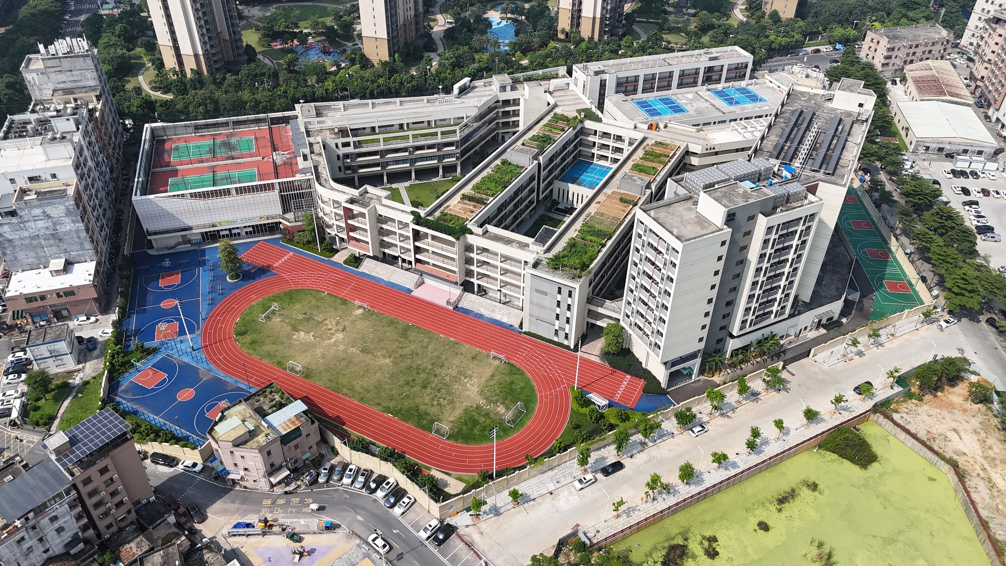 东莞寮步蟠龙岗小学